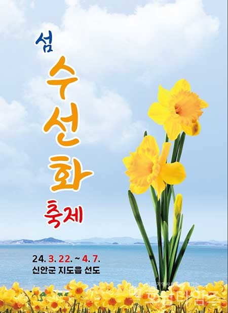 신안군, ‘2024 섬 수선화 축제’ 다가오는 2백만 송이의 봄꽃 향연.