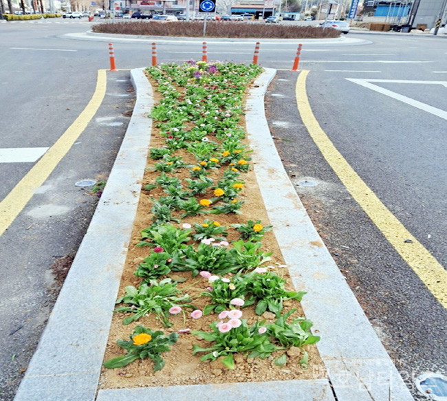 장흥읍, ‘도심 속 작은 정원’ 생활환경 개선 나섰다.